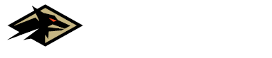 Valen Foundry Logo